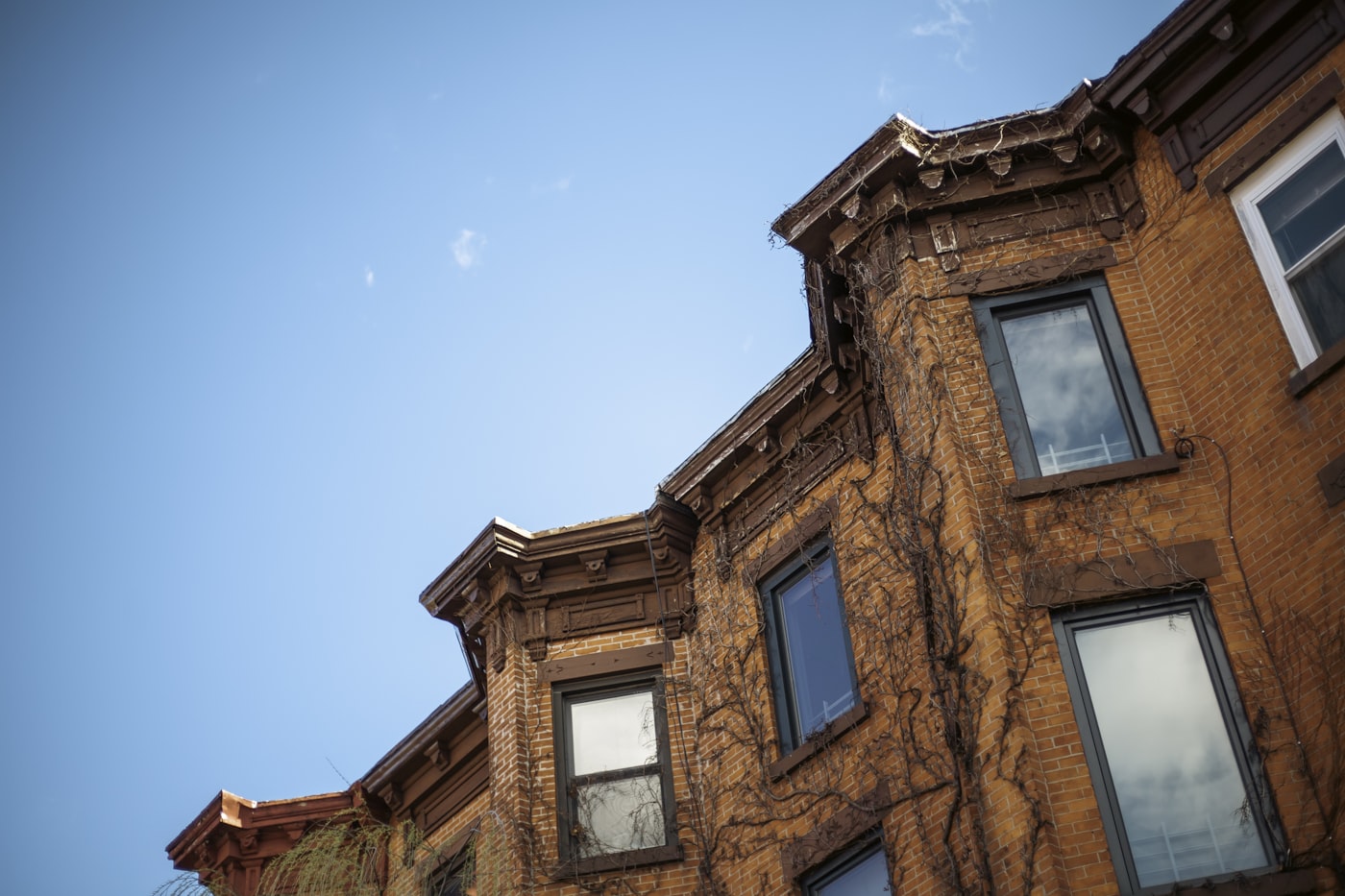 A Manhattan brownstone block